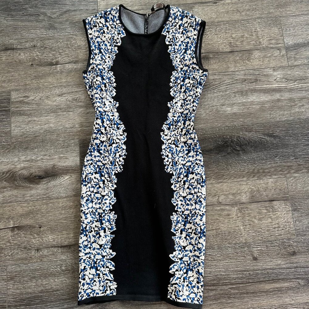 BCBG Bodycon Dress
